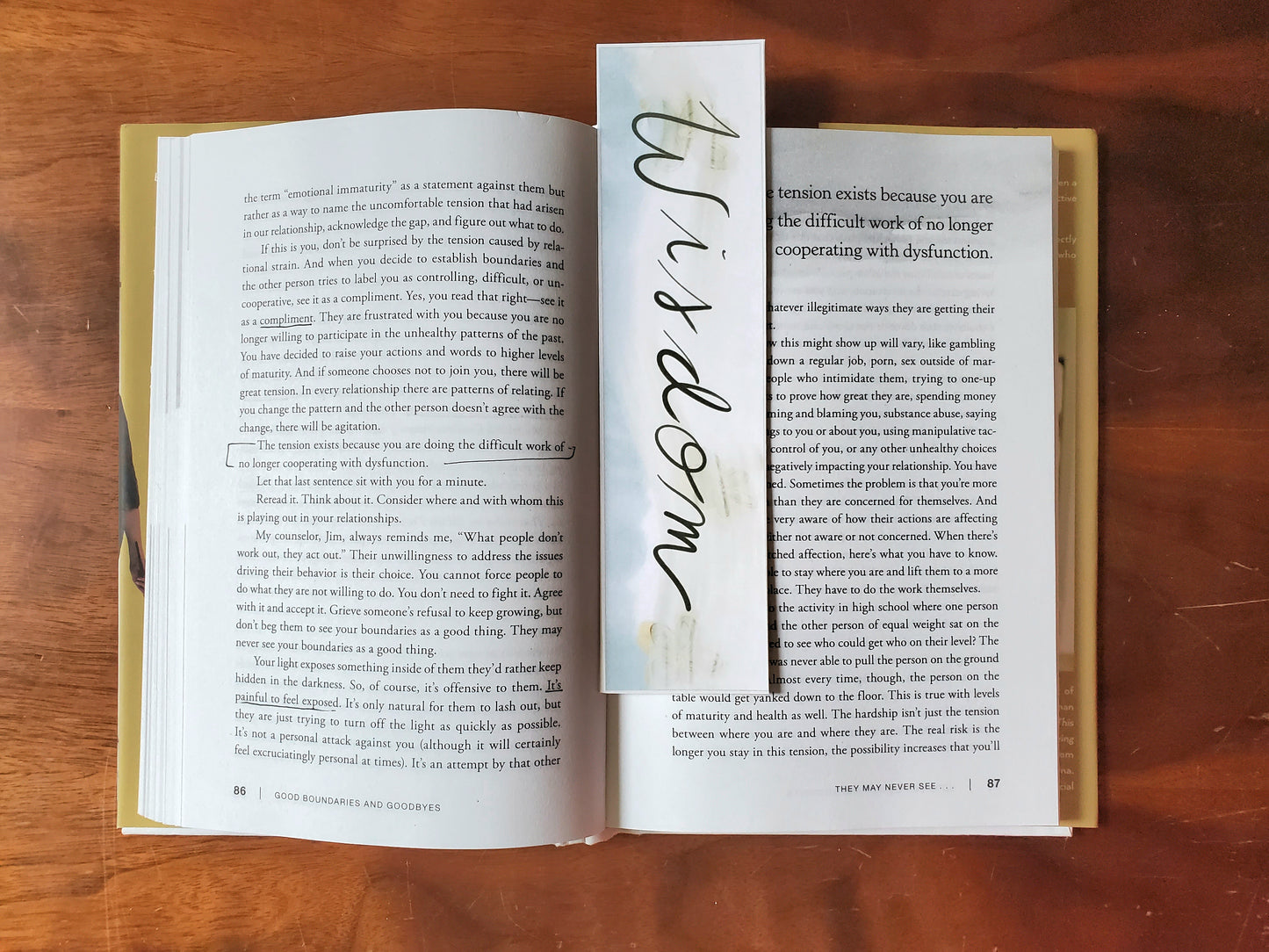 Wisdom Tree of Life Bible Sticker Set