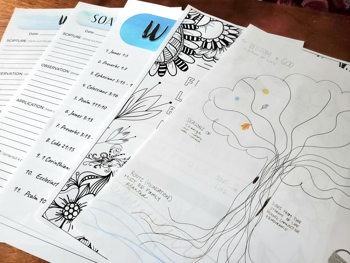 Wisdom Tree of Life Bible Sticker Set