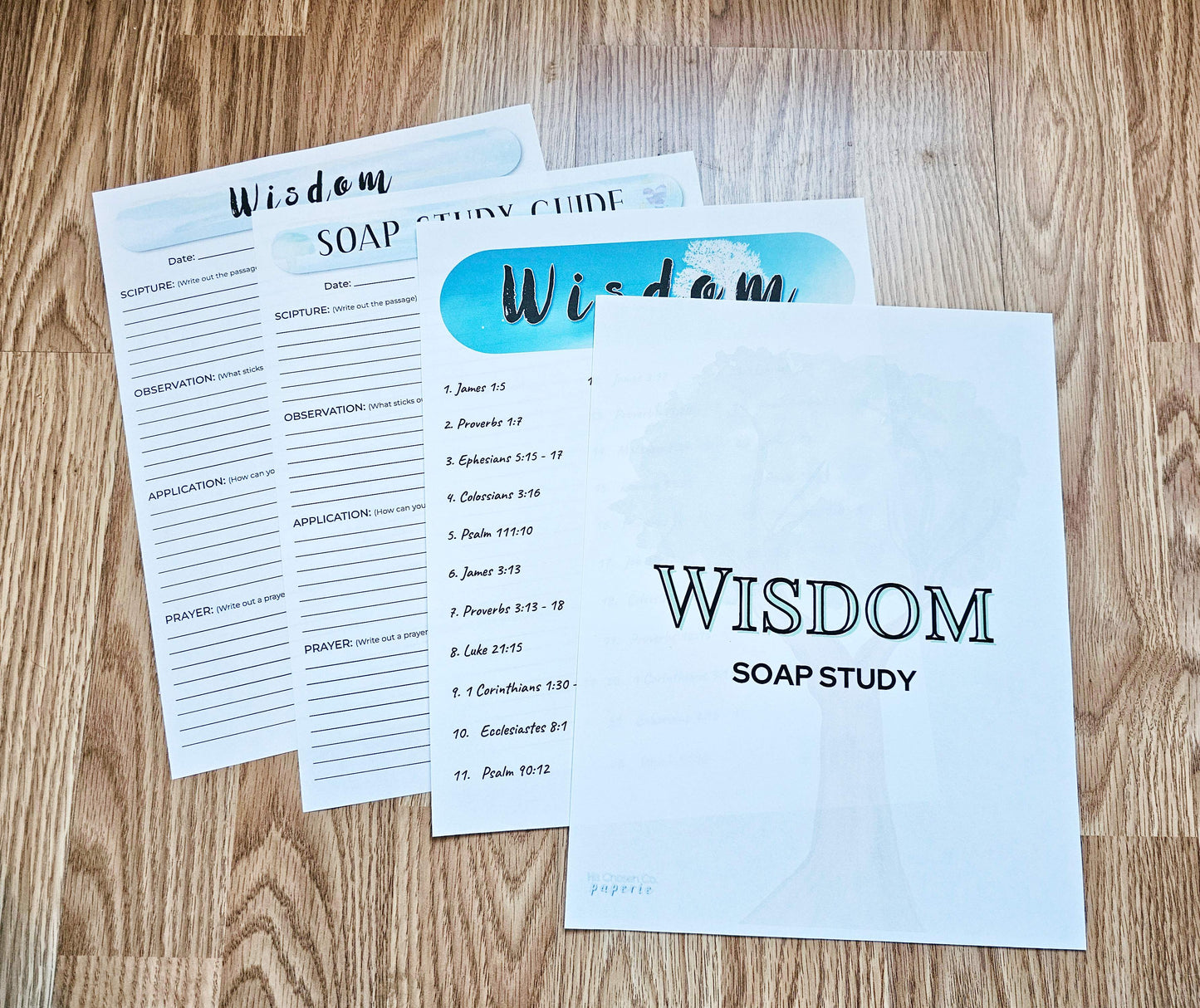 Wisdom of God Bible SOAP Study Pack