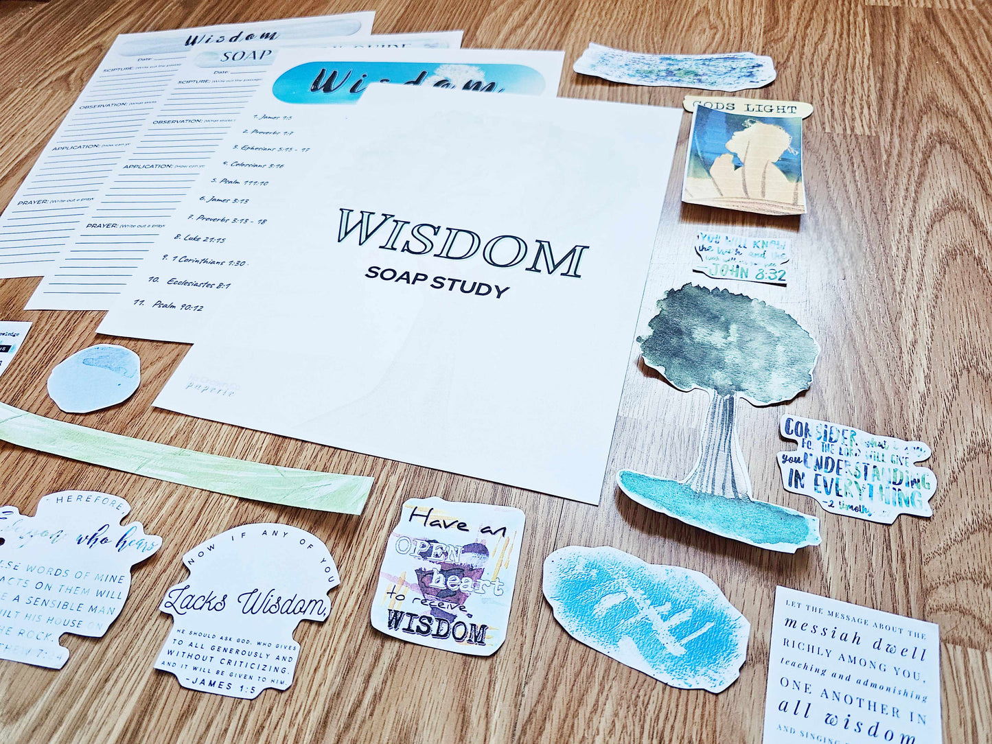 Wisdom of God Bible SOAP Study Pack