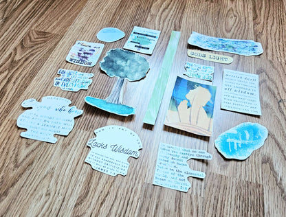 Wisdom of God Bible SOAP Study Pack