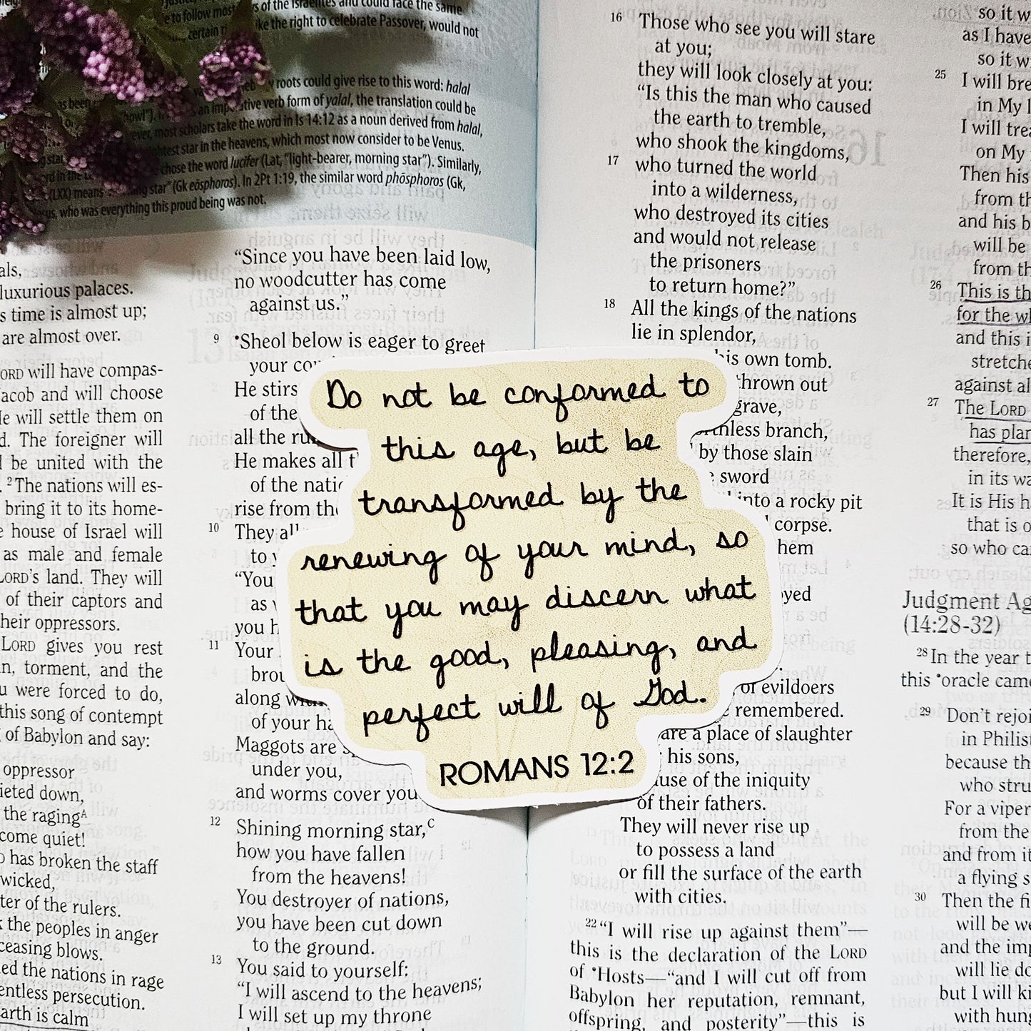 Romans 12:2 Bible Verse Vinyl Sticker Decal