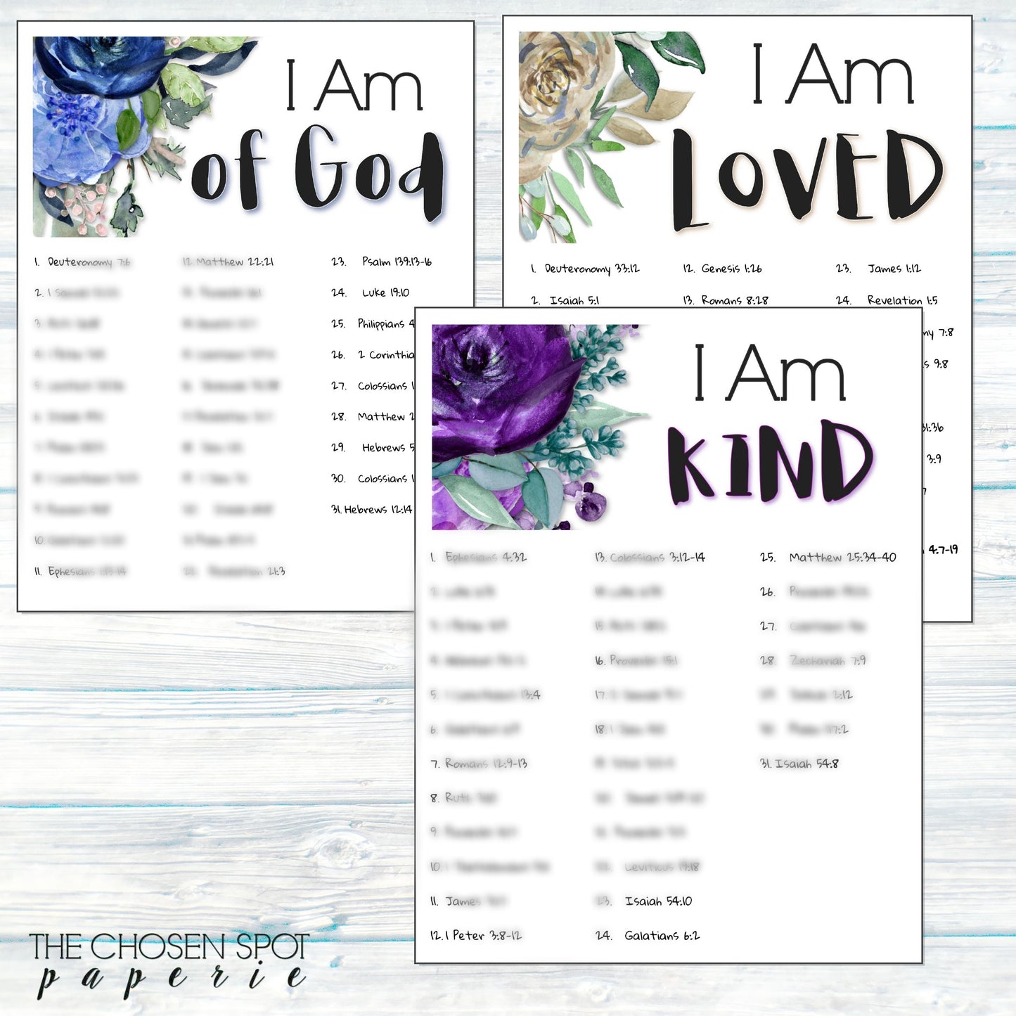 Who I Am in Christ Bible SOAP Study Guide Set - 12 studies - Instant download